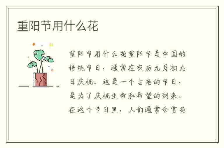 重阳节用什么花(重阳节送什么花给老人)